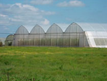 green house construction
