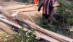 Getting ready timber structures for road construction